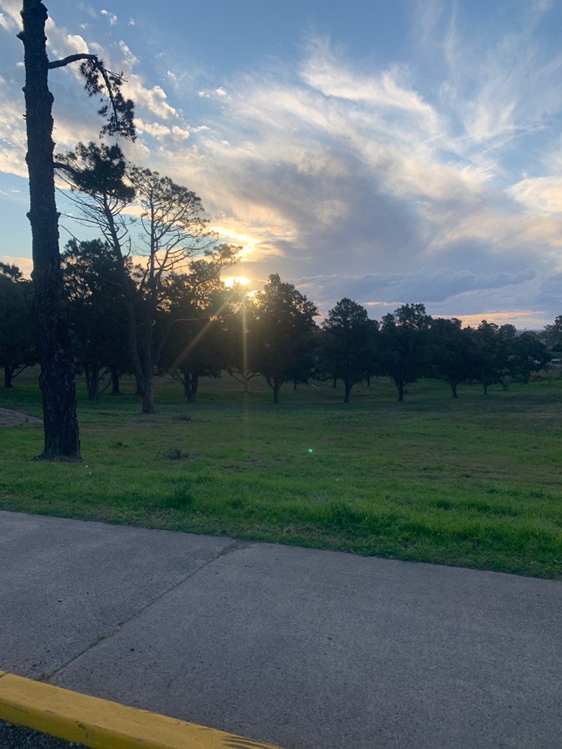 walking near me in Boomerang Park in spring
