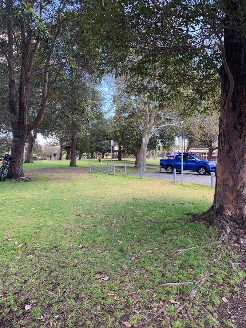 walking near me in Speers Point Park in spring