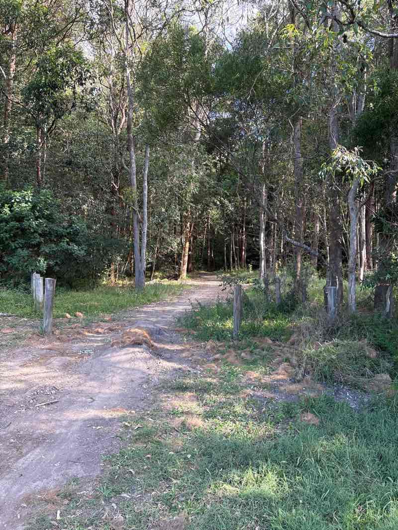 walking near me in Claremont Avenue Park in autumn