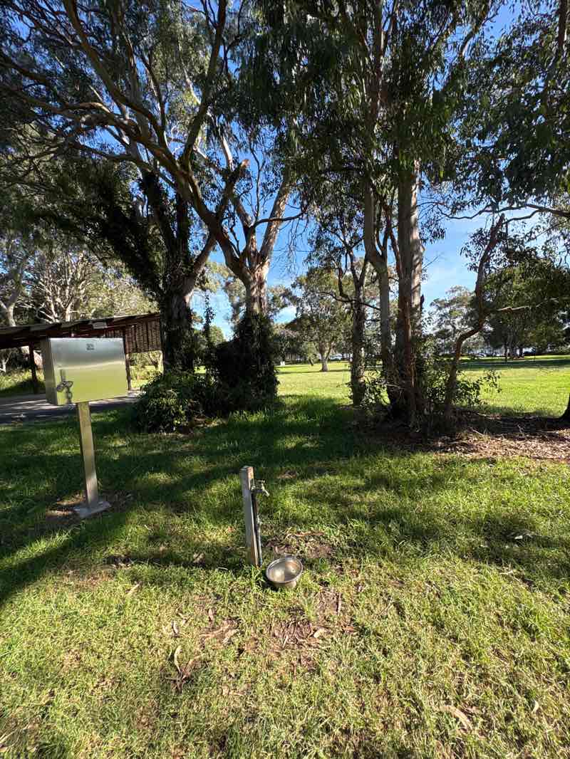 walking near me in Thomas H Halton Park in autumn
