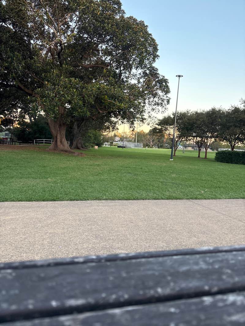 walking near me in Lambton Park in autumn