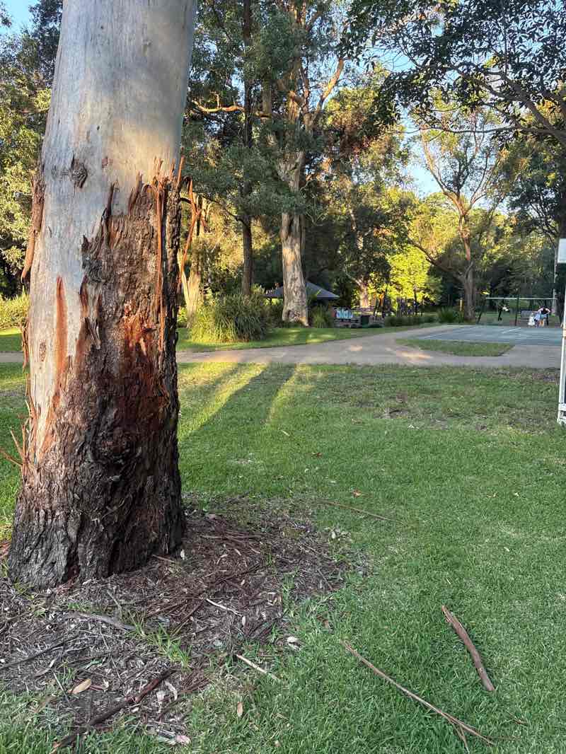walking near me in Jesmond Park in autumn