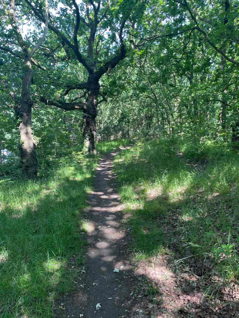walking near me in Bestwood Country Park (Mill Lakes) in winter