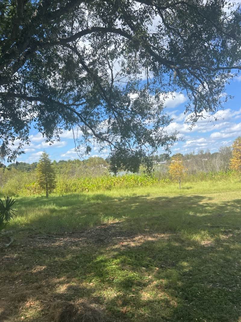 walking near me in Davis Park in autumn