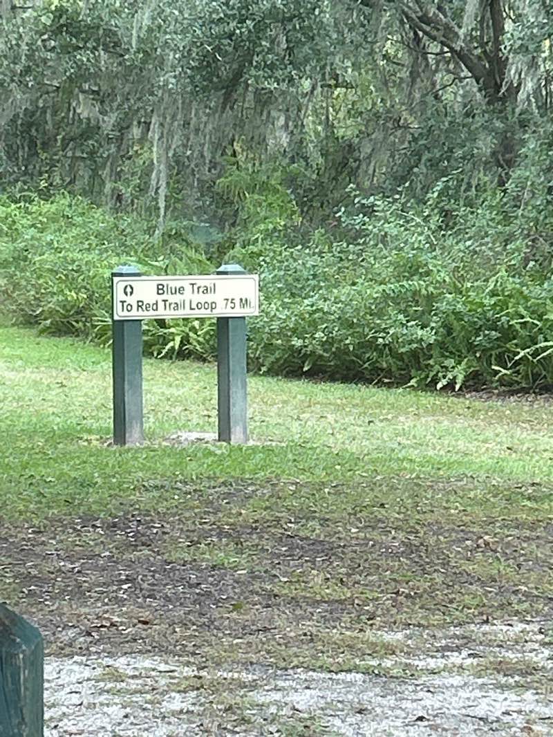walking near me in Sydney Dover Equestrian Park in autumn