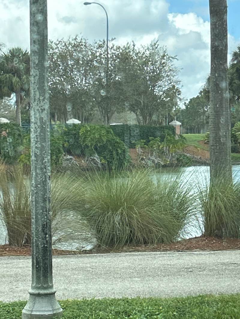 walking near me in Brandon Parkway Trail in autumn