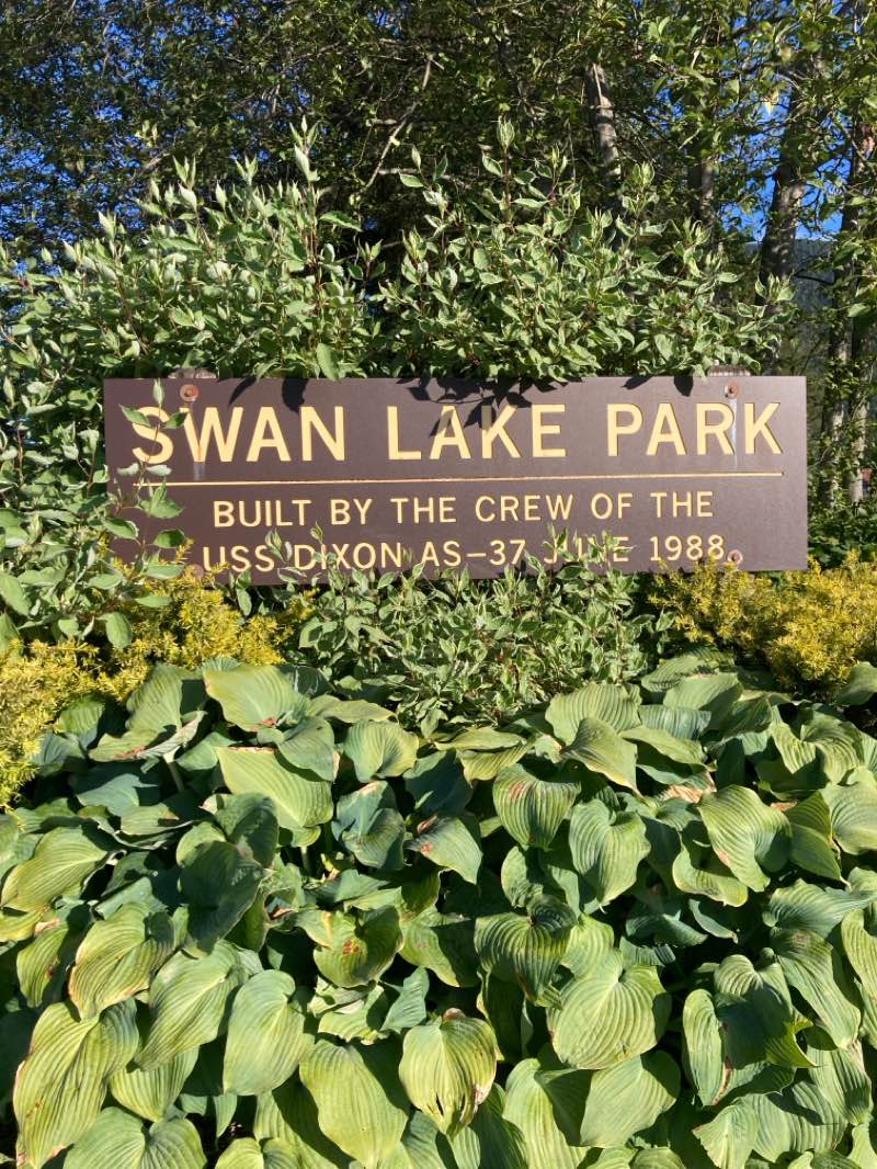 walking near me in Moller Park in autumn