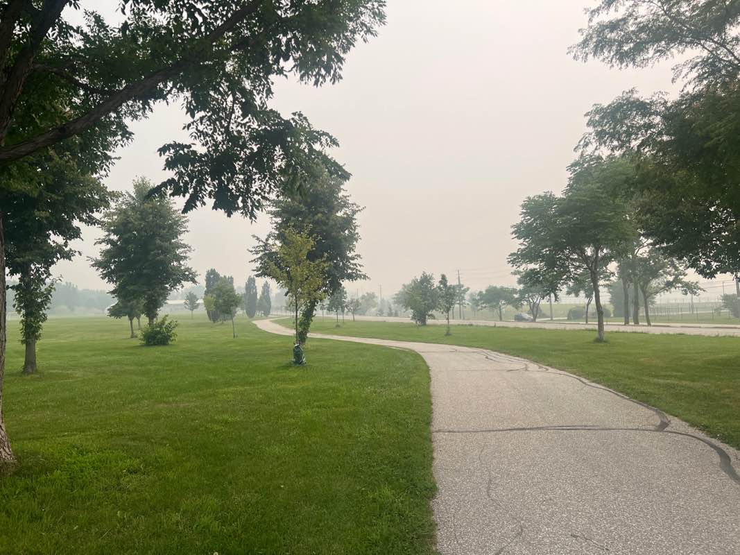 walking near me in Malden Park in summer
