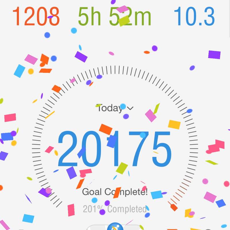 Earl & Oliver 🇺🇸 🦮🚶‍♂️ post 1