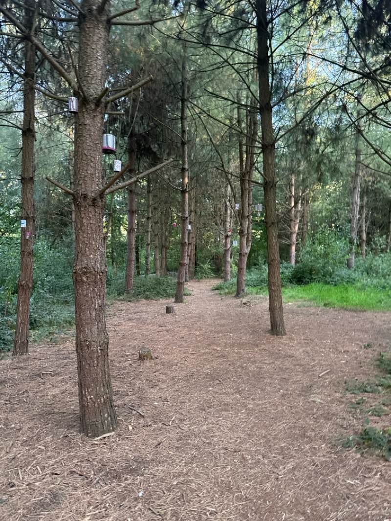 walking near me in Rosliston Forestry Centre in autumn