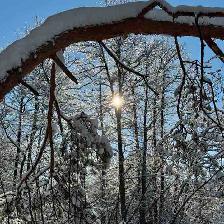 Василий  🏔 post 1