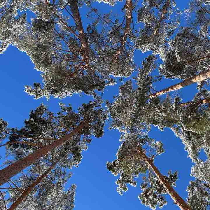 Василий  🏔 post 3