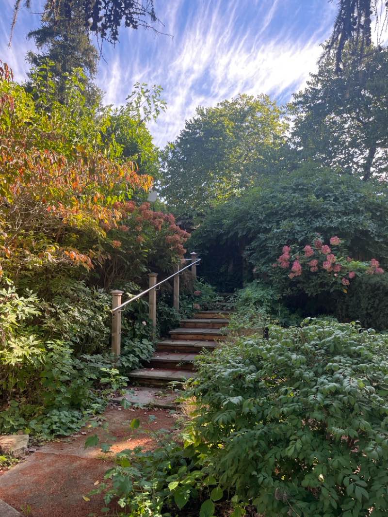 walking near me in Royal Queens Park in winter