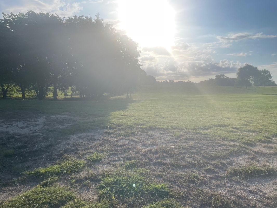walking near me in Northeast Community Park in summer