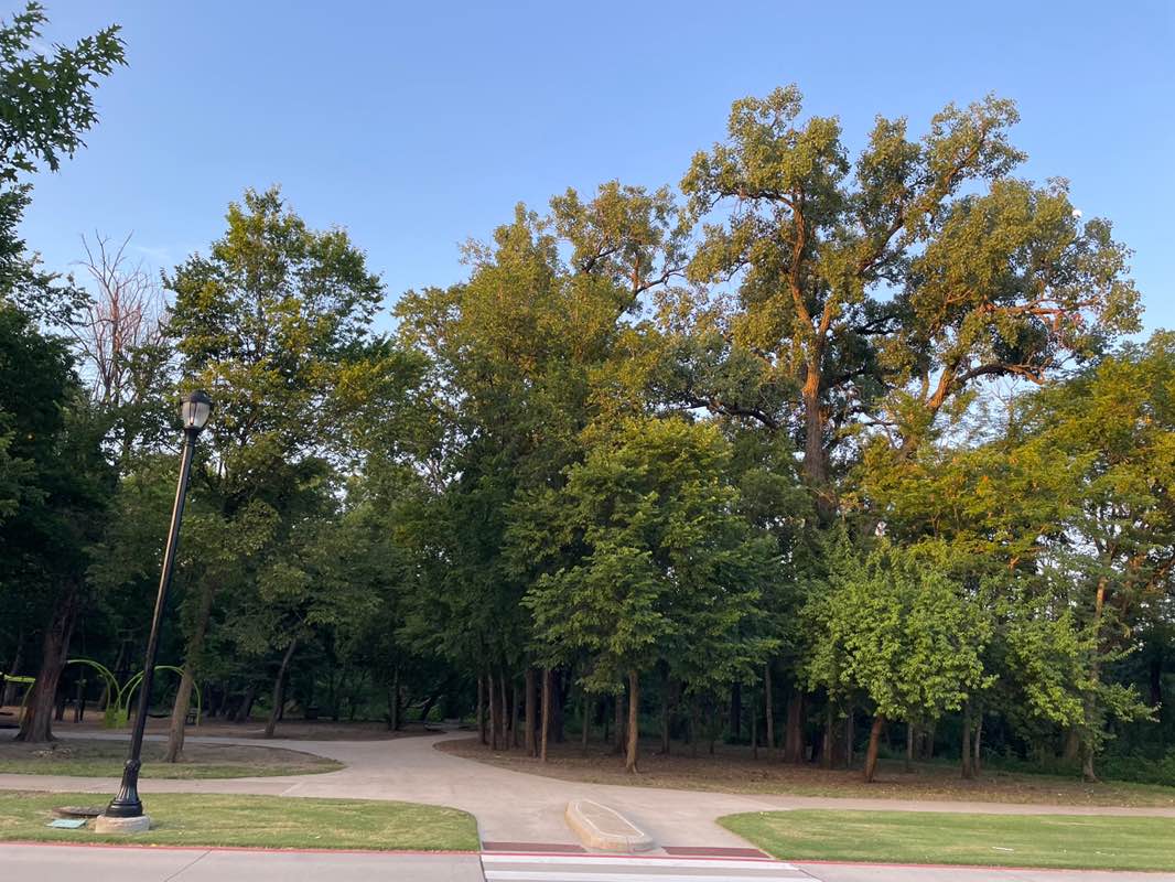 walking near me in Bonnie Wenk Park in summer