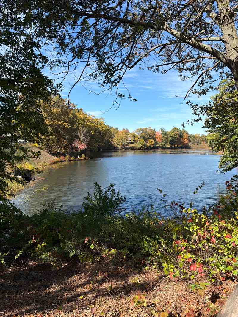 walking near me in Hood Park in autumn