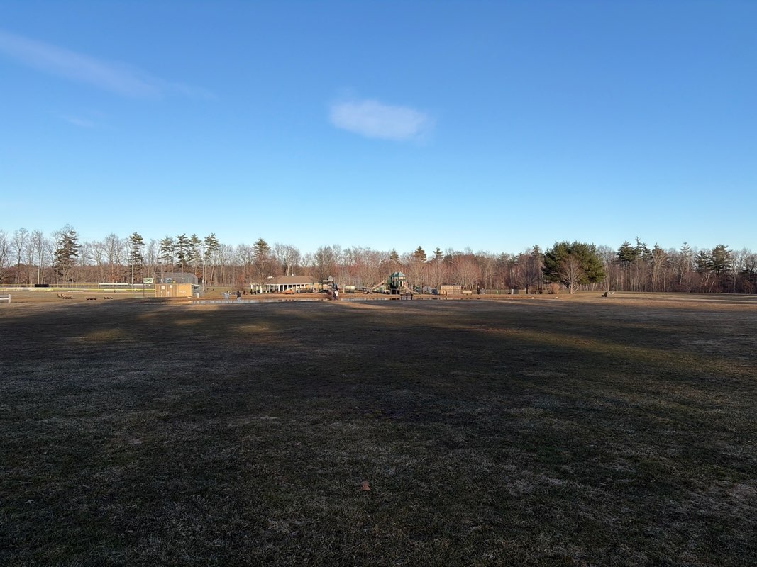walking near me in Griffin Park in spring