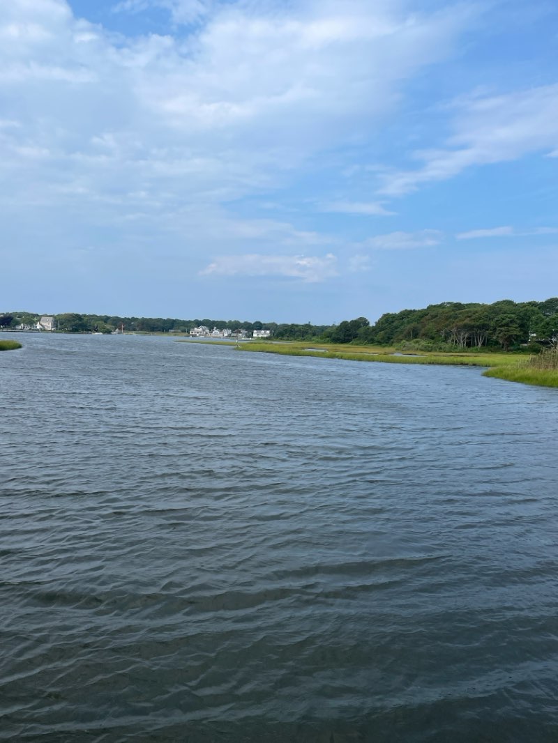 walking near me in Mill Creek Park in winter