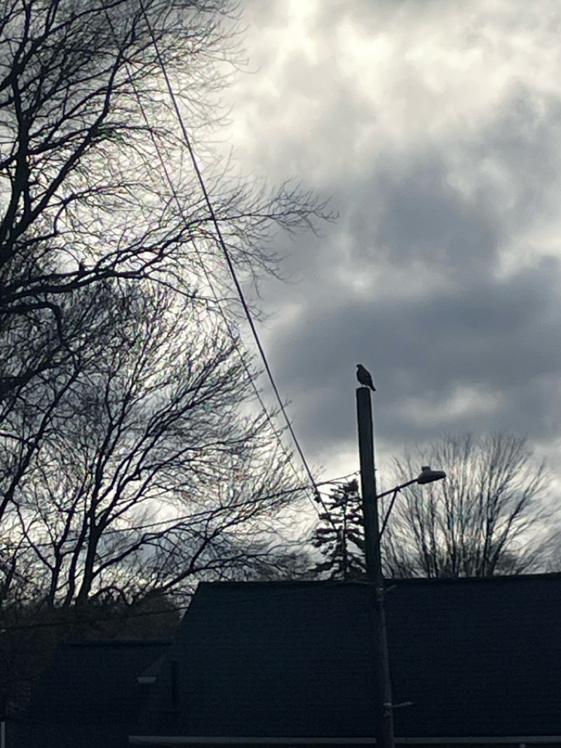 walking near me in Great Hill Park in winter