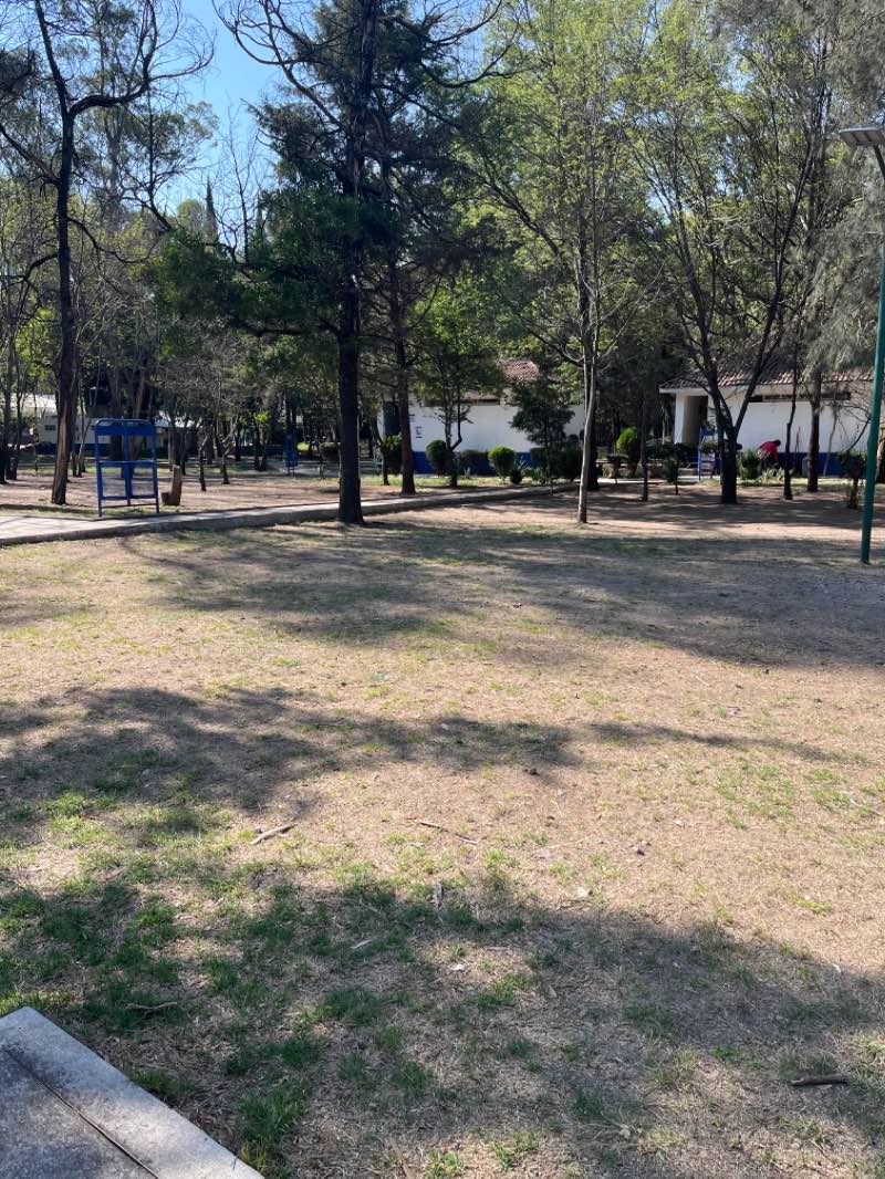 walking near me in Parque Naucalli in winter