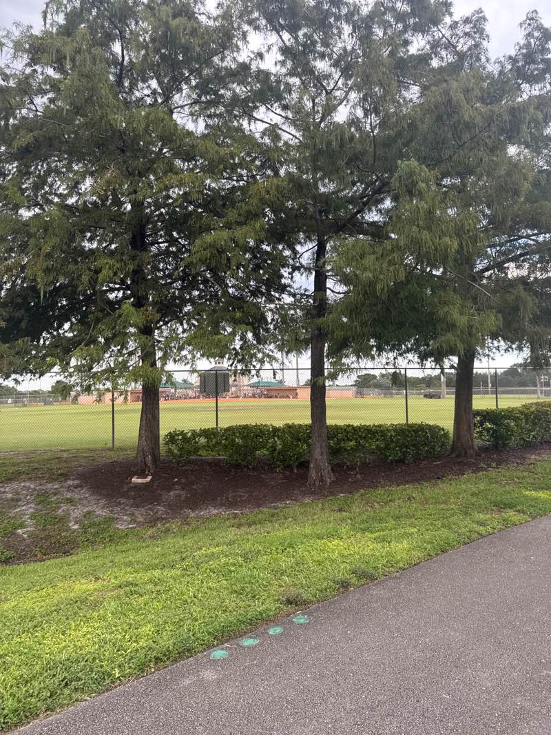 walking near me in North Community Park in autumn