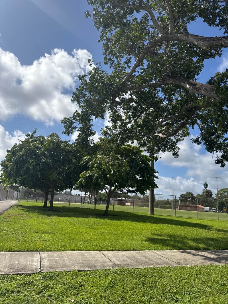 walking near me in Lions Park in autumn