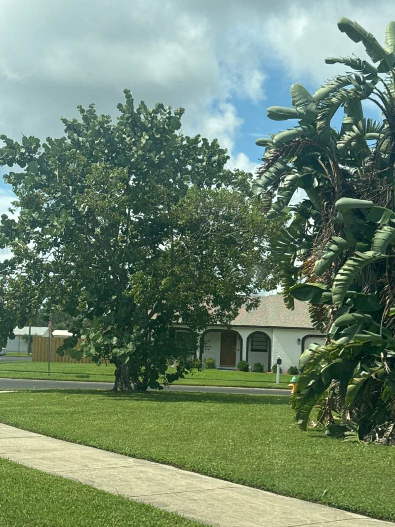 walking near me in Junny Rios Martinez Park in autumn