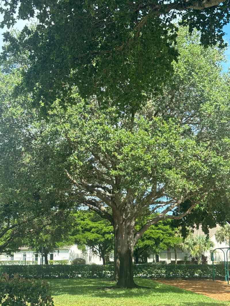 walking near me in Powderhorn Park in autumn