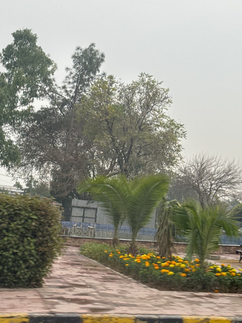 walking near me in The Centaurus Park in winter
