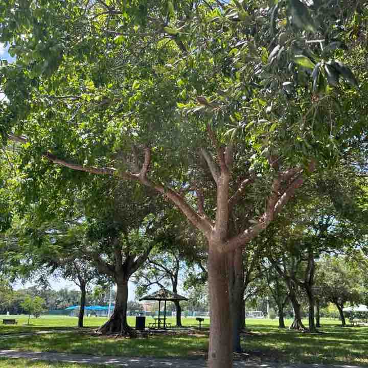 Terramar Park Entrance Fee