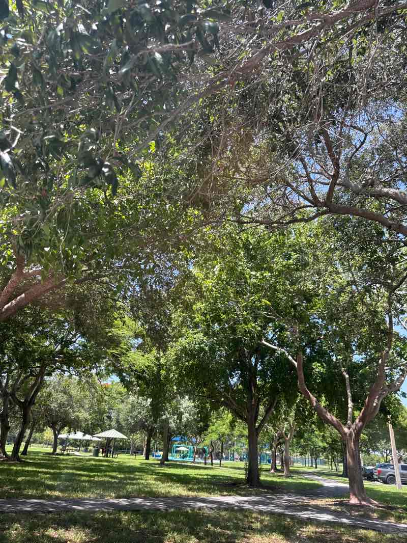 walking near me in Terramar Park in autumn