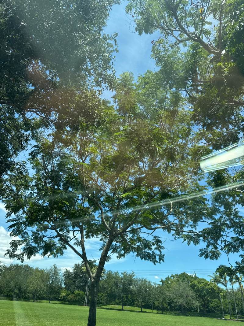 walking near me in Betti Stradling Memorial Park in autumn