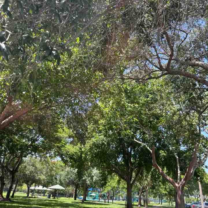 Terramar Park Address