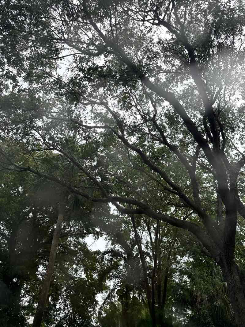 walking near me in Veterans Park in autumn