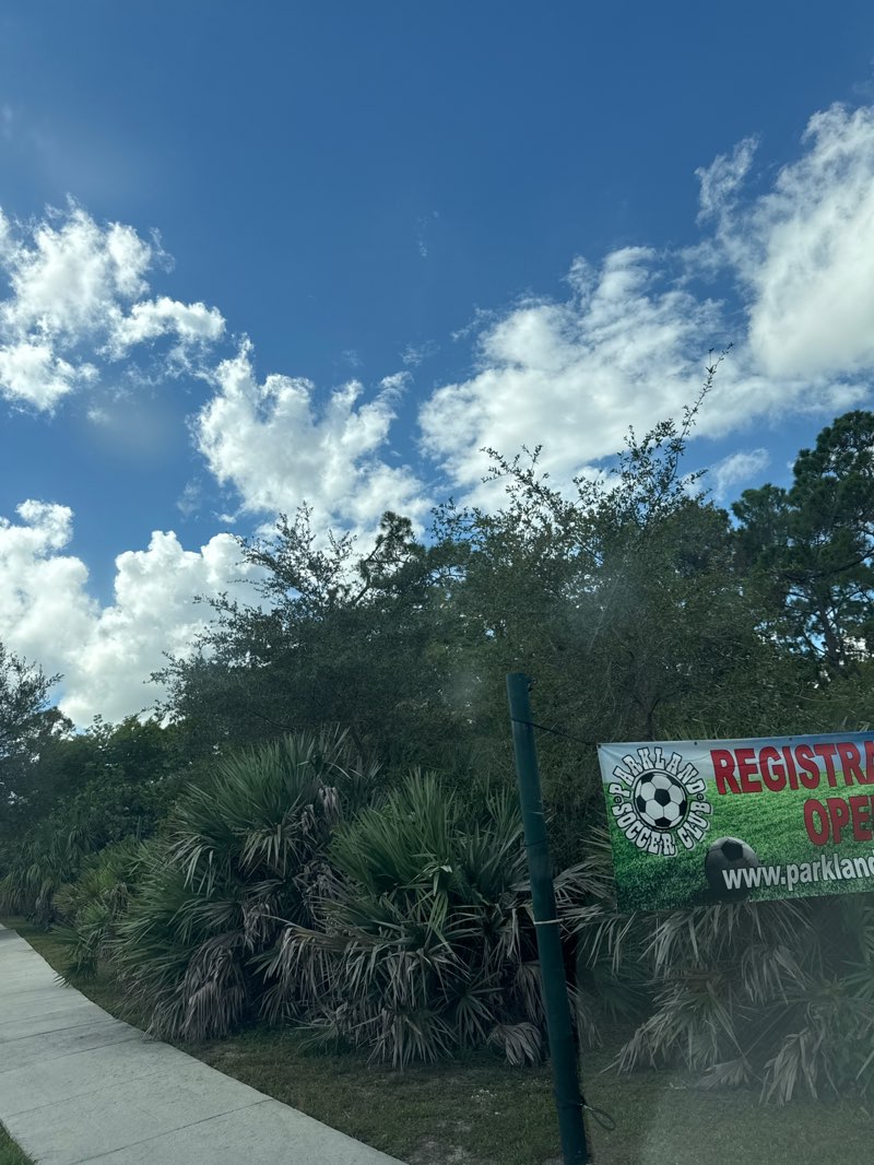 walking near me in Six Acre Woods Park in autumn