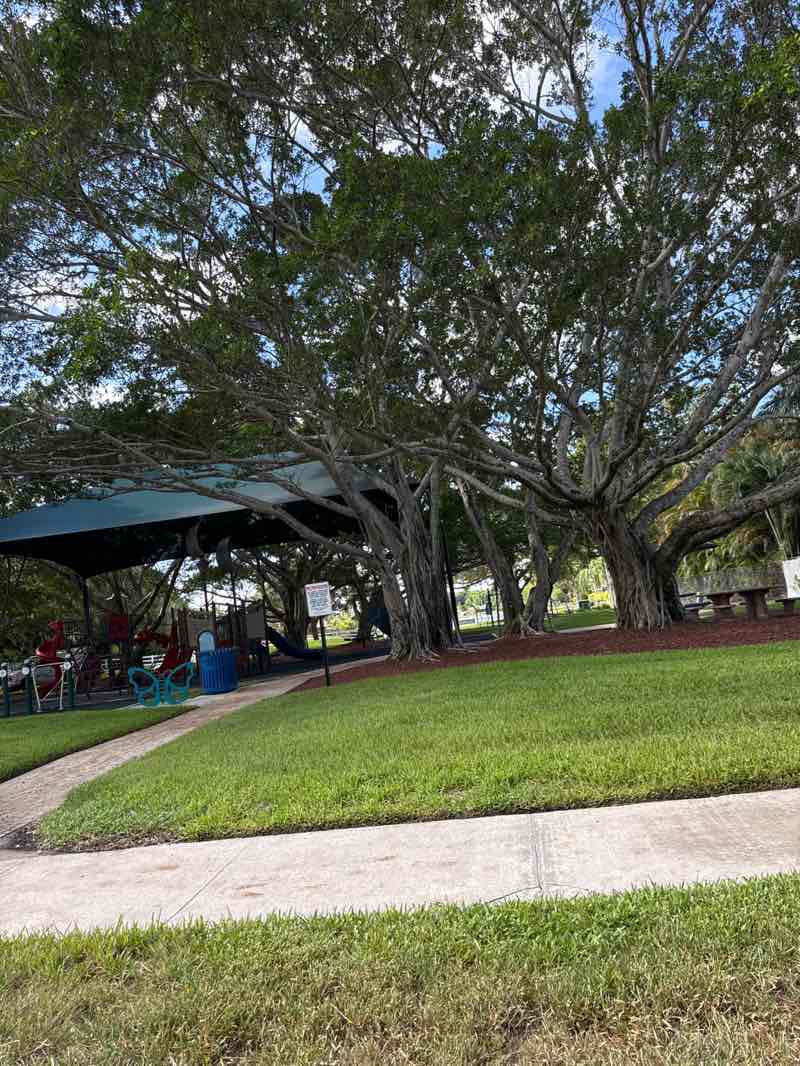 walking near me in Lakewood Park in autumn