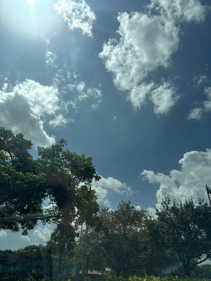 walking near me in Silver Shores Park in autumn