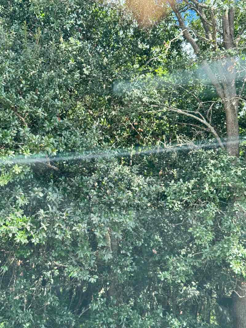 walking near me in Winston Park Nature Center in autumn