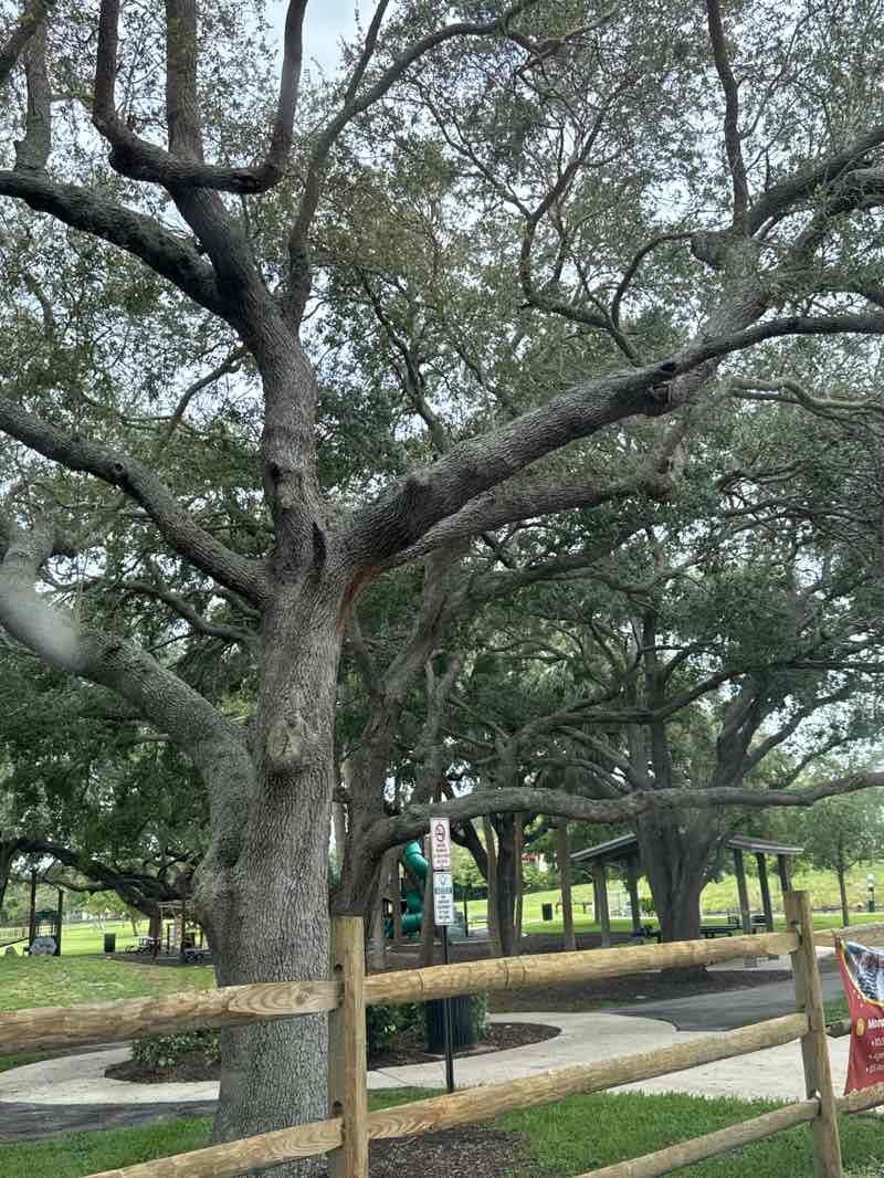 walking near me in Villages of Hillsboro Park in autumn