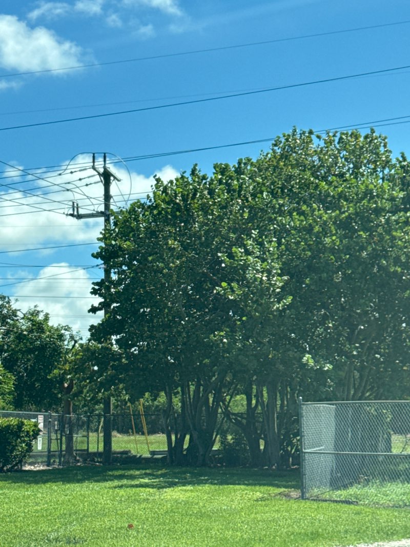 walking near me in Firefighters Park in autumn