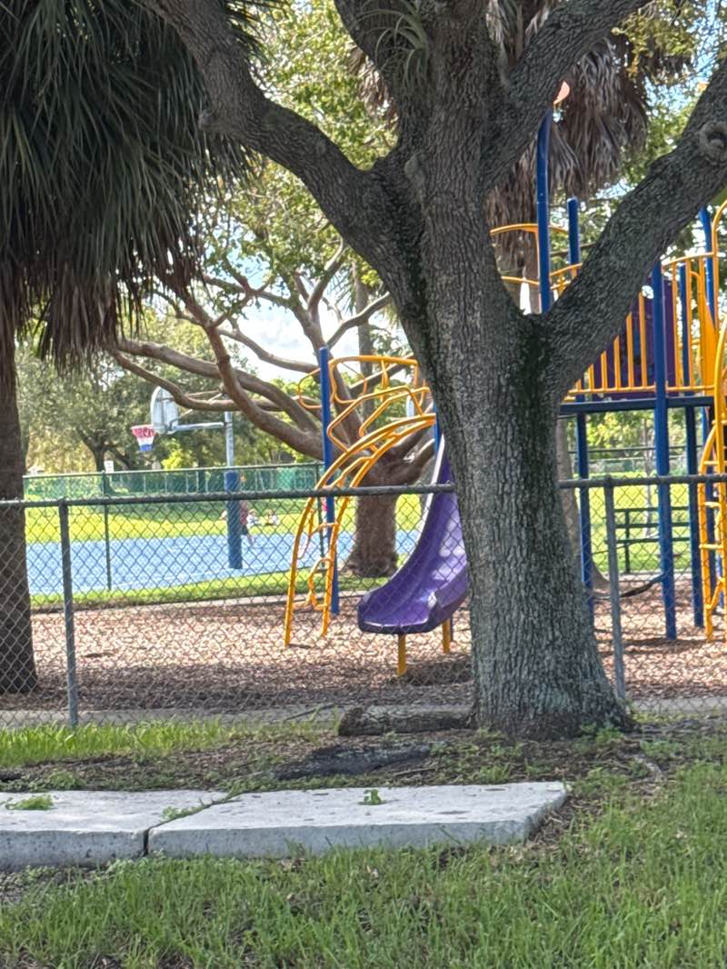 walking near me in Paul Britton Park in autumn