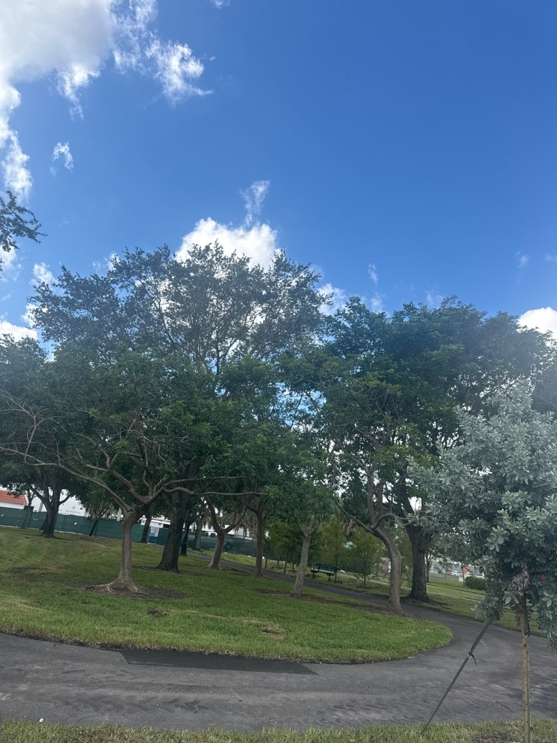 walking near me in Kiwanis Park in autumn