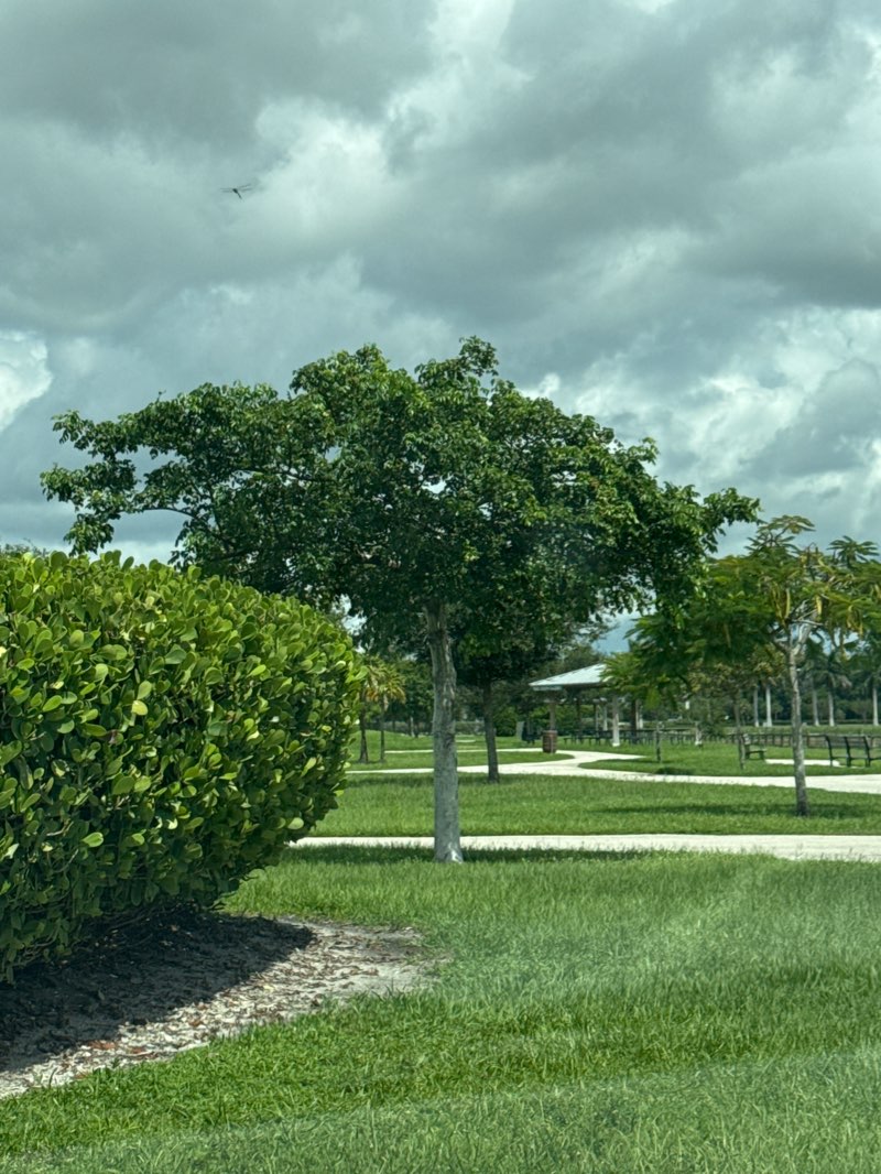 walking near me in Lincoln Park in autumn
