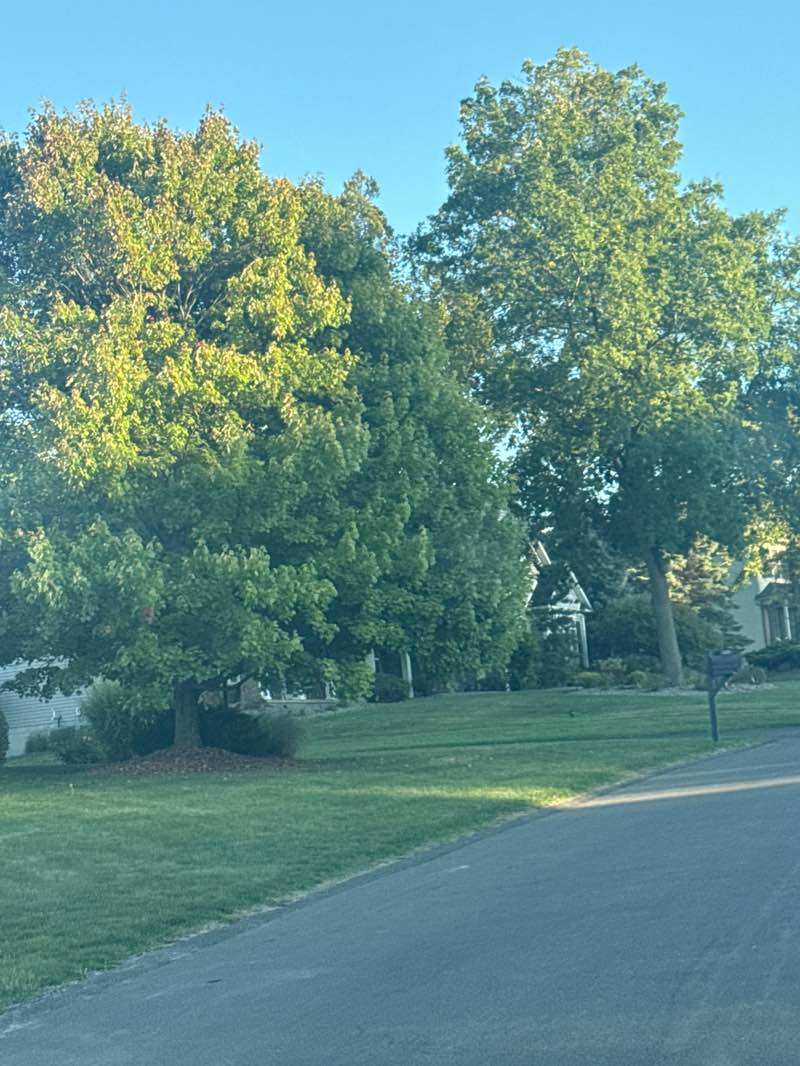 walking near me in Briar Brook Park in autumn