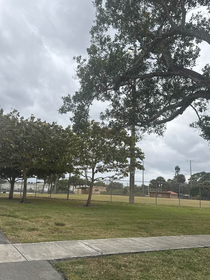 walking near me in Lions Park in winter