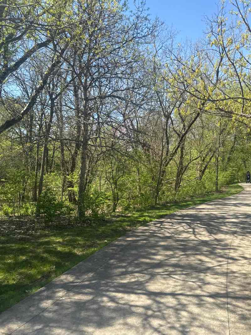 walking near me in Spring Brook Park in spring