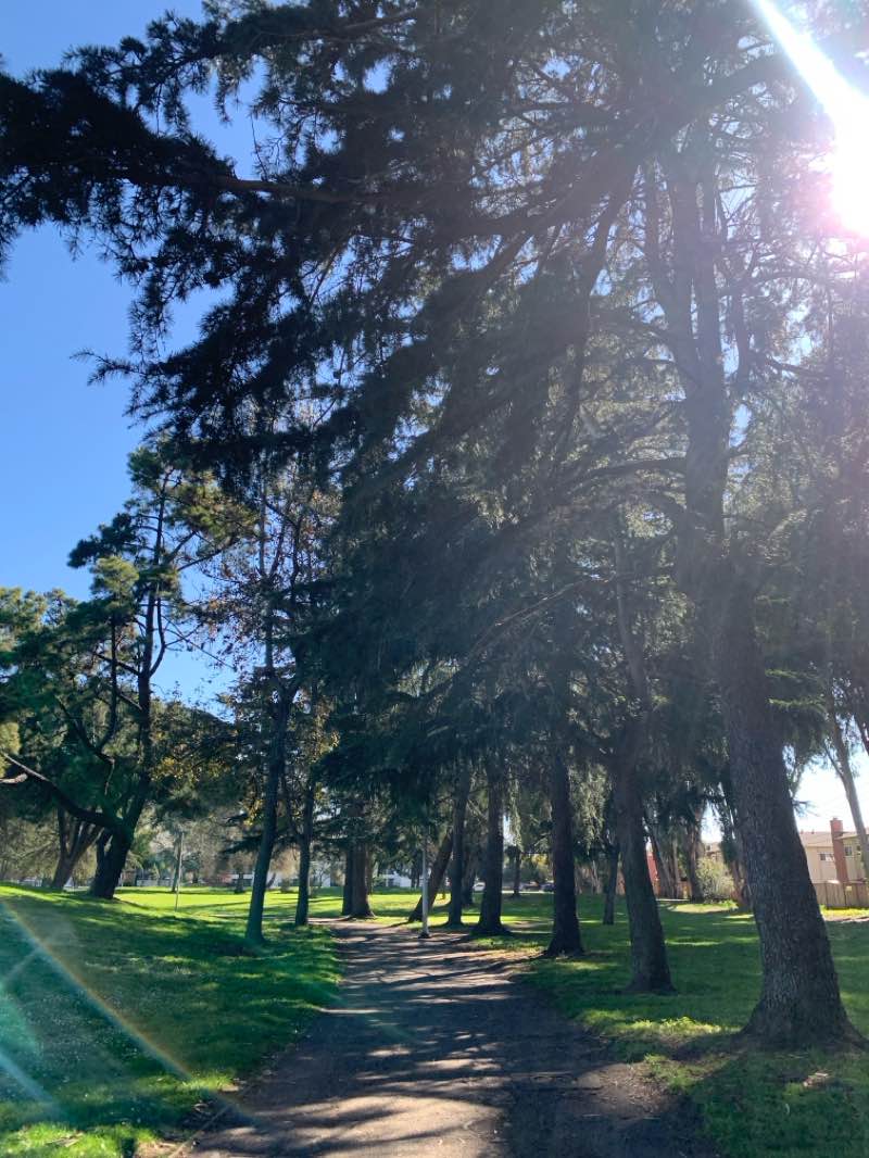 walking near me in Weekes Community Park in spring