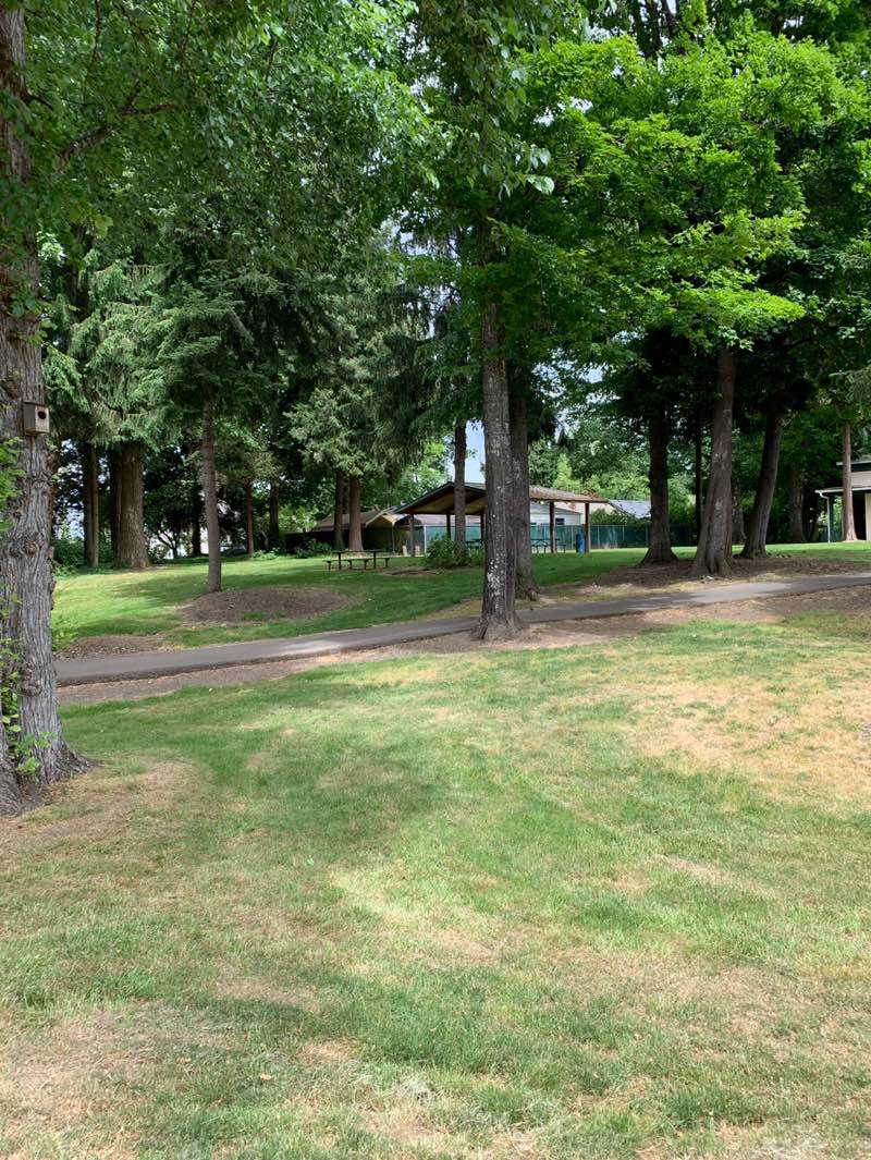 walking near me in Settlemier Park in summer
