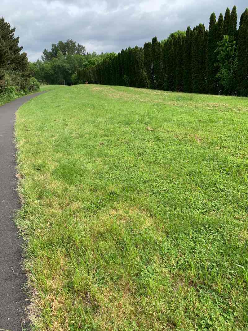 walking near me in Stoller Creek Greenway in spring