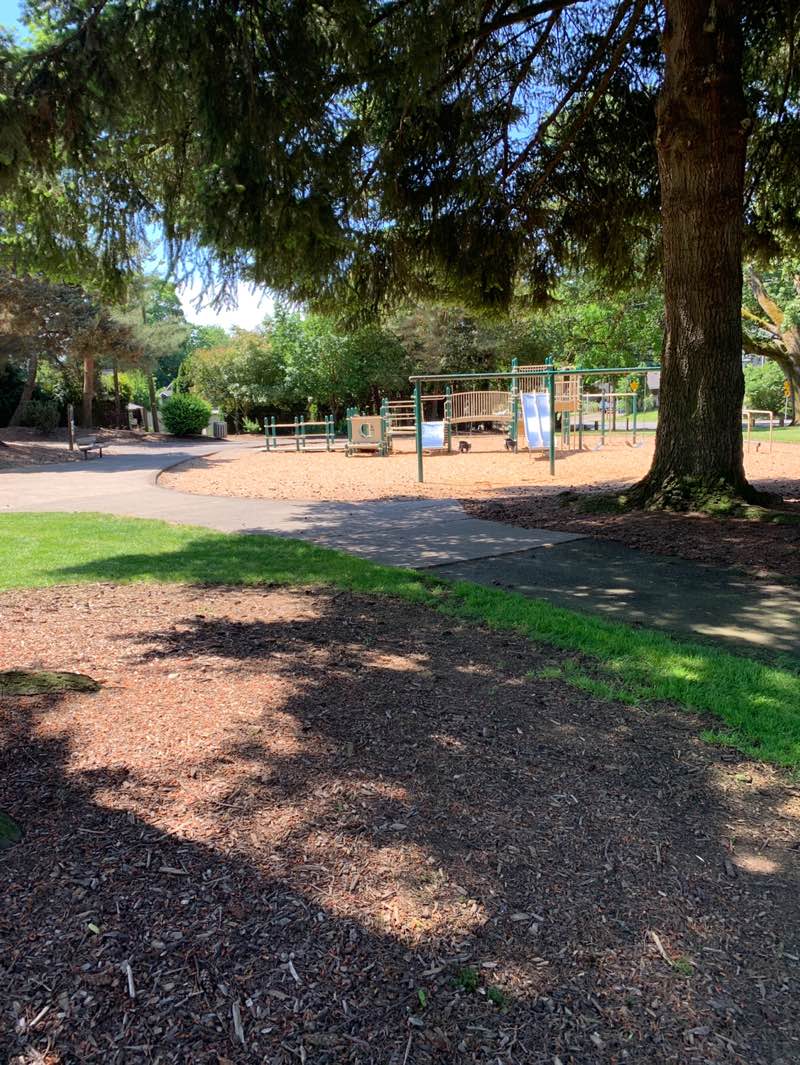 walking near me in John Ball Park in summer